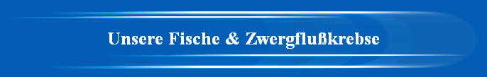 Unsere Fische & Zwergflu�krebse