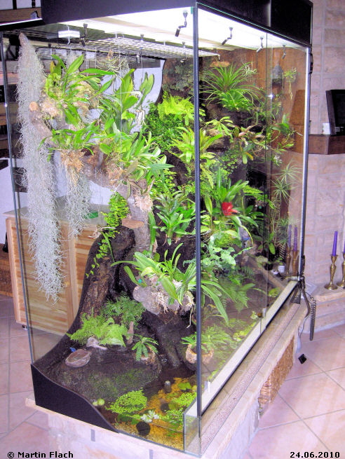 Regenwaldterrarium aus einer anderen Perspektive 24.06.2010 © Martin Flach Regenwaldterrarium aus einer anderen Perspektive 24.06.2010 © Martin Flach