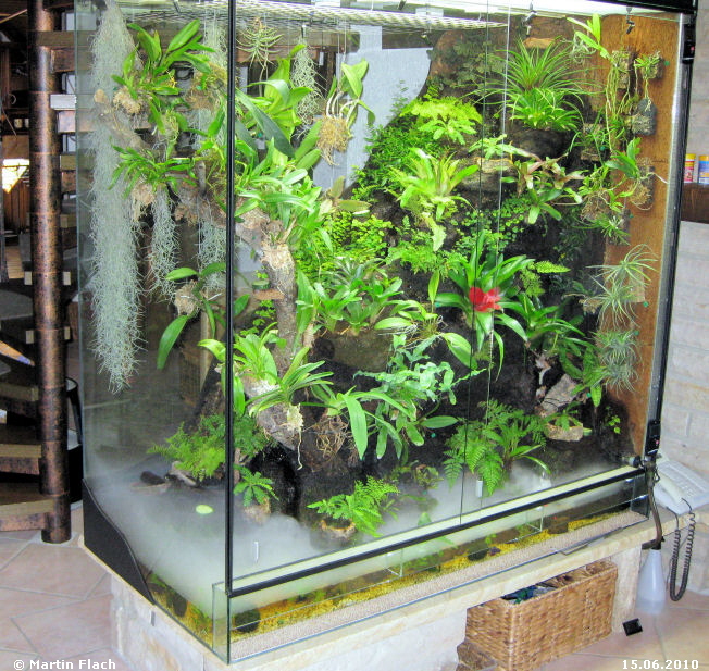 Regenwaldterrarium mit Nebel über dem Teich - Wasserteil 15.06.2010 © Martin Flach Regenwaldterrarium mit Nebel über dem Teich - Wasserteil 15.06.2010 © Martin Flach