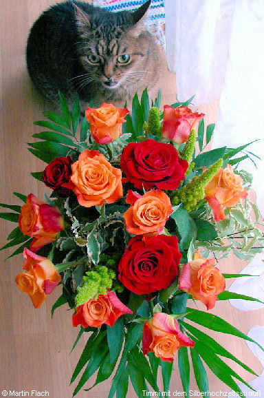 Timmi gratuliert mit einem Silberhochzeitsstrau�  � Martin Flach
