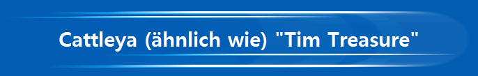 Cattleya (�hnlich wie) 