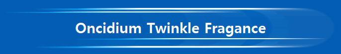 Oncidium Twinkle Fragance