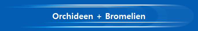 Orchideen + Bromelien