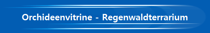 Orchideenvitrine - Regenwaldterrarium