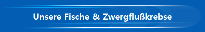 Unsere Fische & Zwergflußkrebse Unsere Fische & Zwergflußkrebse