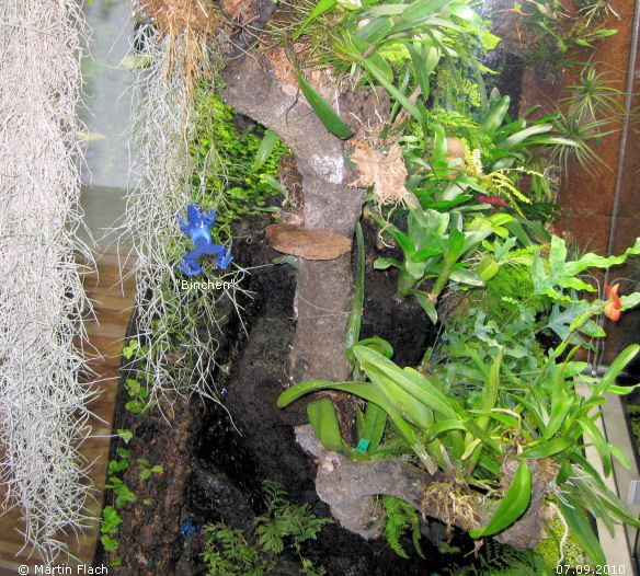 Die Unterseite � Martin Flach