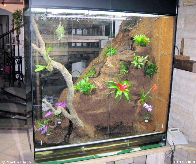 Nach der Lieferung  der Orchideenvitrine durch die Firma E.N.T. Terrarientechnik begannen wir sofort mit der Bepflanzung � Martin Flach