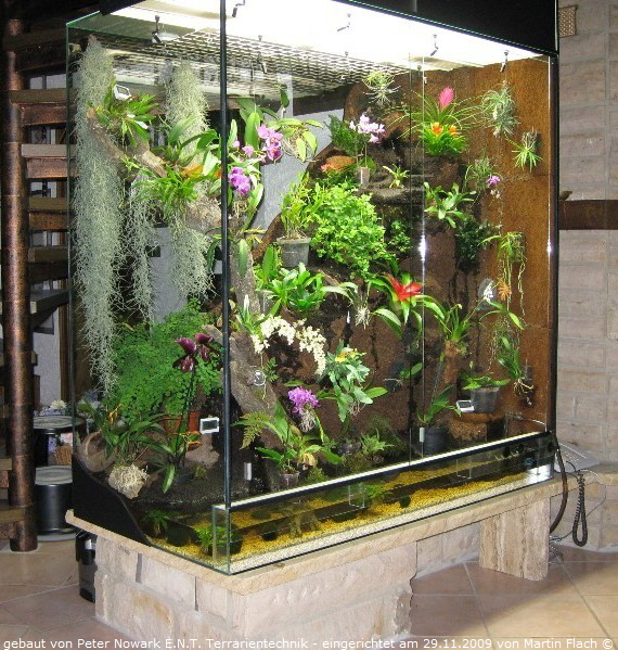 Orchideenvitrine - 1 m� Amazonas Regenwald - Regenwaldterrarium, auch Aquaterrarium, Rivarium oder Paludarium genannt, gebaut von Peter Nowark E.N.T. Terrarientechnik � Martin Flach