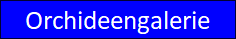 Zur Orchideengalerie