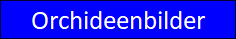 Zu den Orchideenbildern