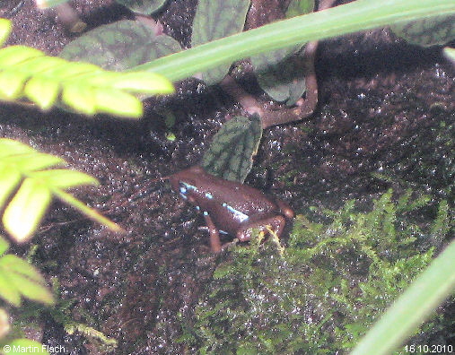 © Martin Flach © Martin Flach