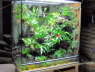 Vitrine